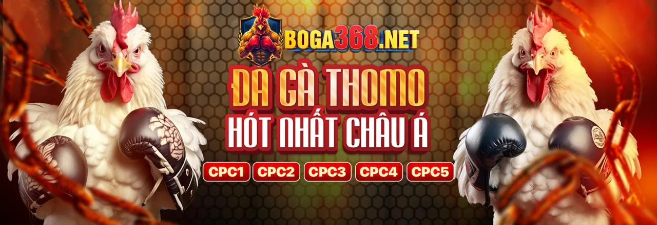 Sân đá gà trực tuyến TD88